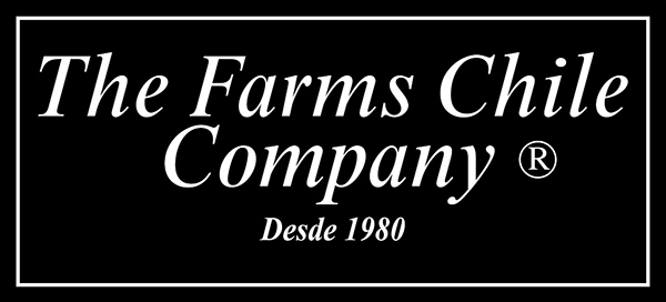 Correa Propiedades